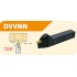 DVVN