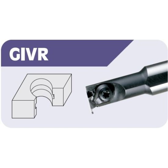 GIVR-S