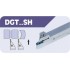 DGT.SH